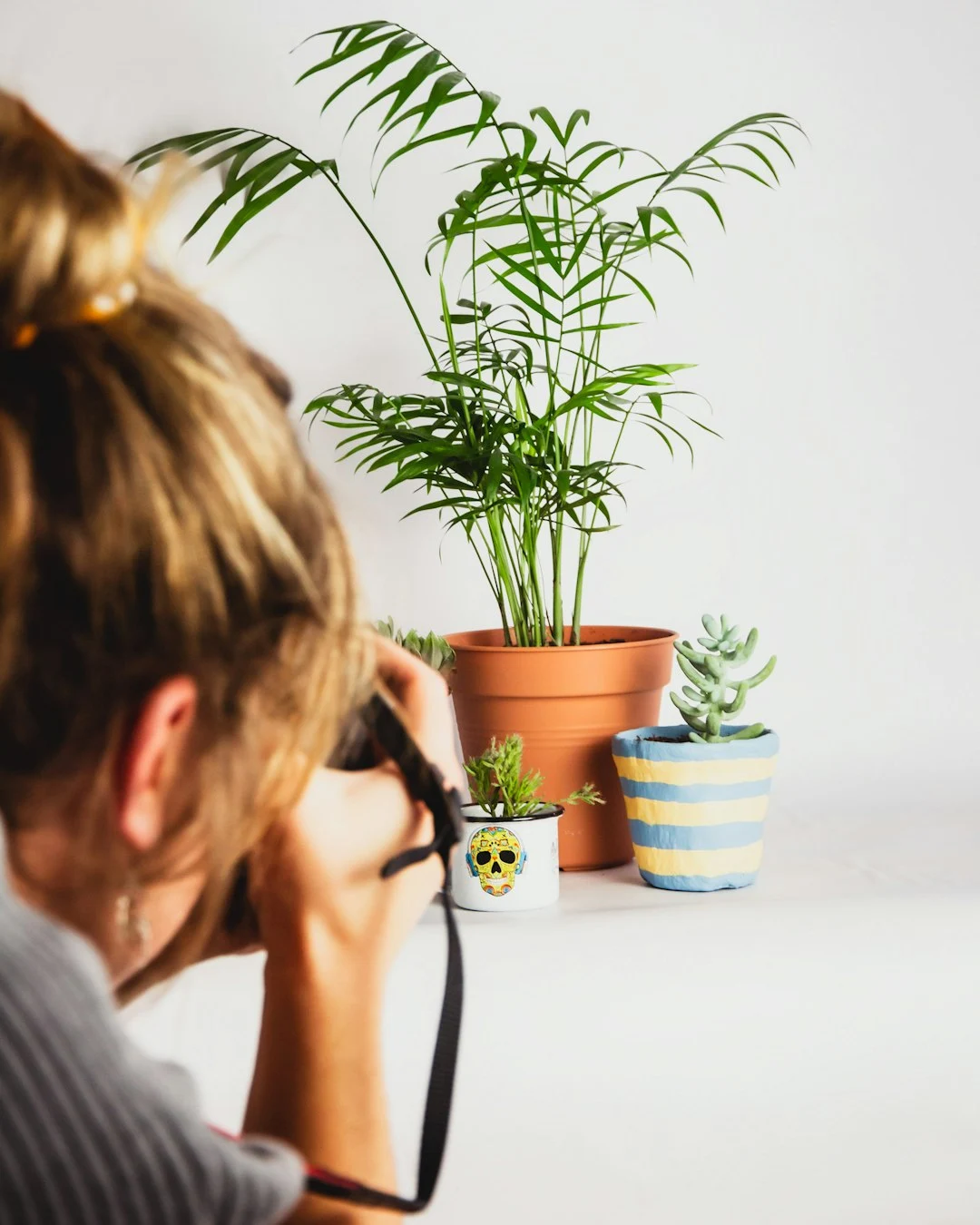 Bringing the Outside In: Biophilic Design for Tropical Living